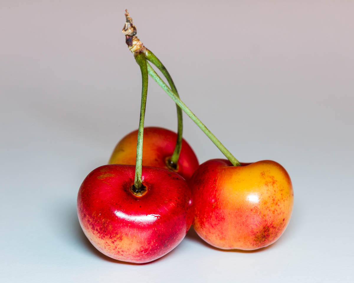 Rainier cherries