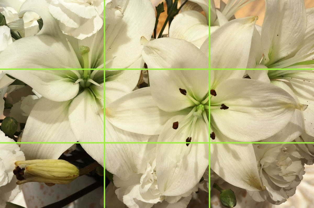 Composition: Rule of Thirds
