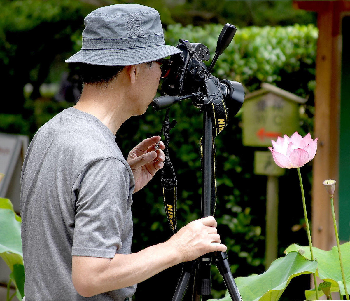 Directing the Viewers Attention
