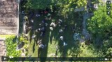 Aerial views: Pre-ceremony champagne