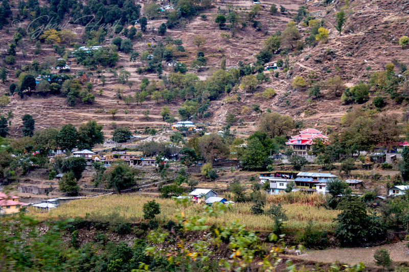 Village