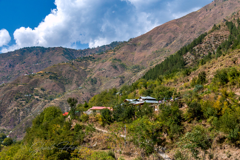 Village