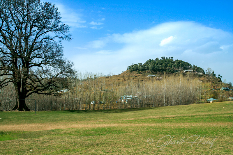 Devgali meadow