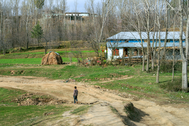 Devgali meadow