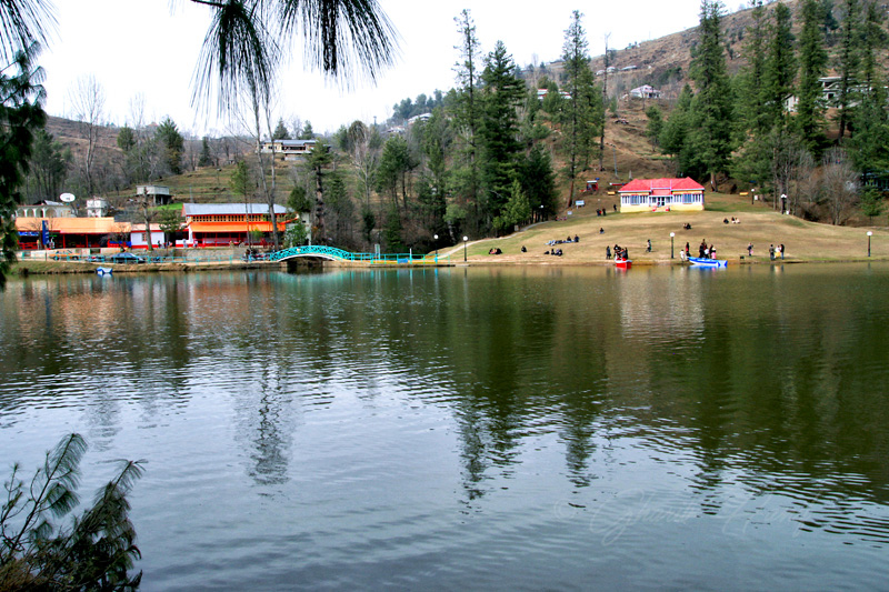Resort