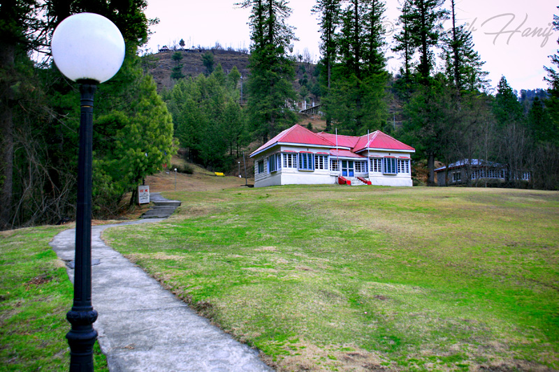 Bungalow