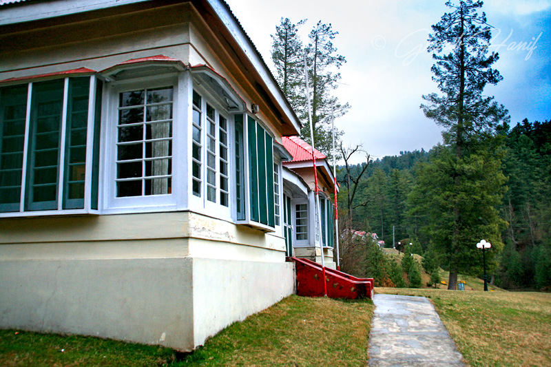 Bungalow