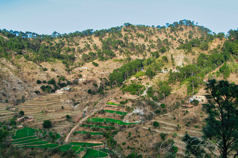 Jhandi Chontra Village