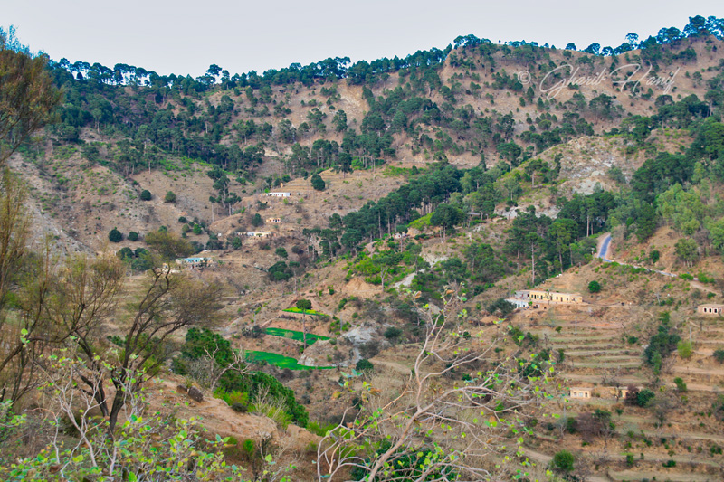 Jhandi Chontra Village