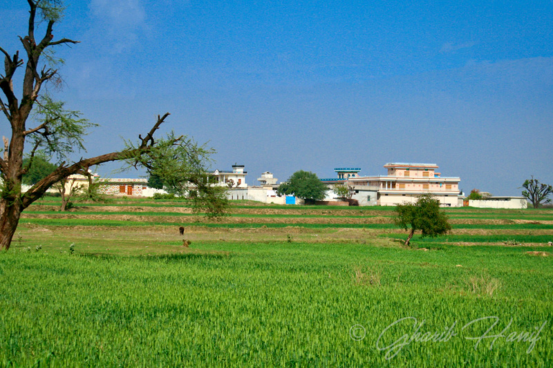 Village