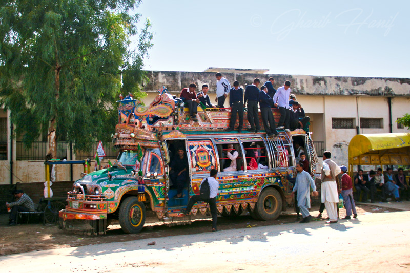 Bus