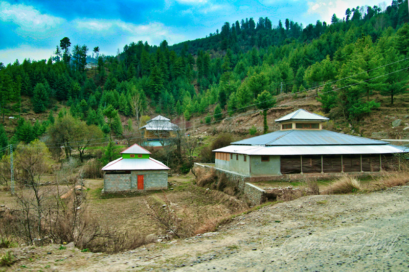 Houses