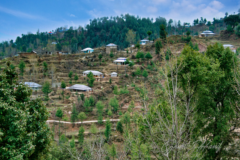 Village