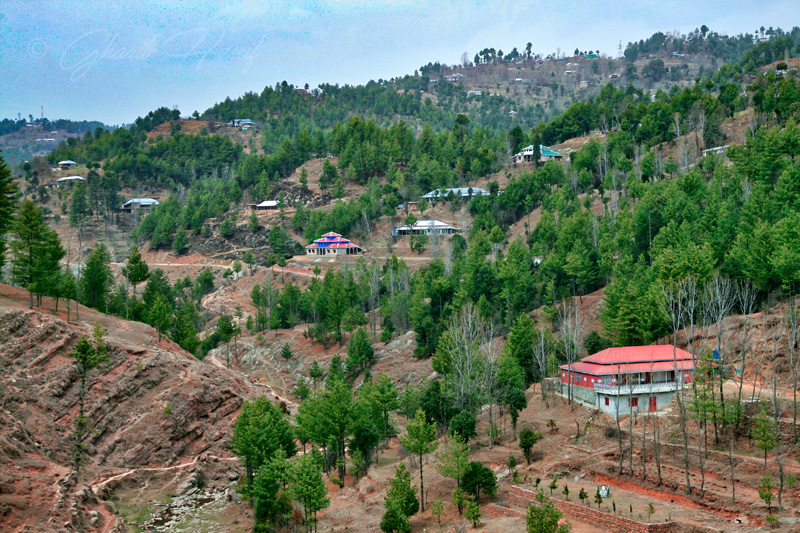 Village