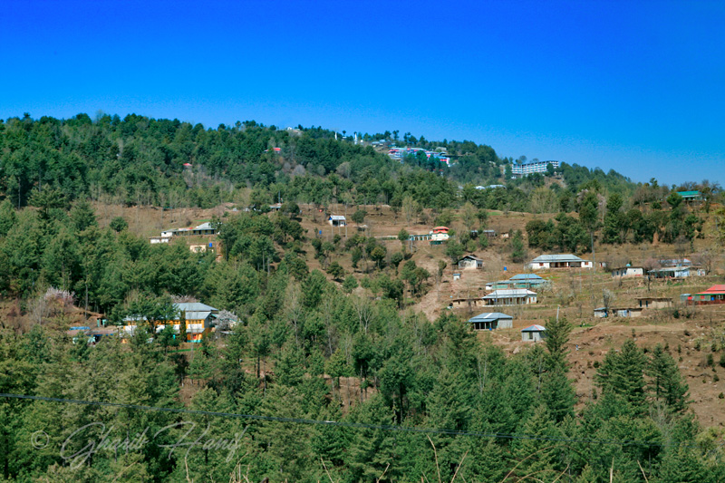 Village