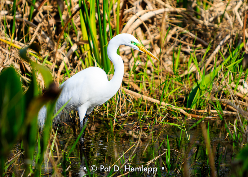 On the hunt