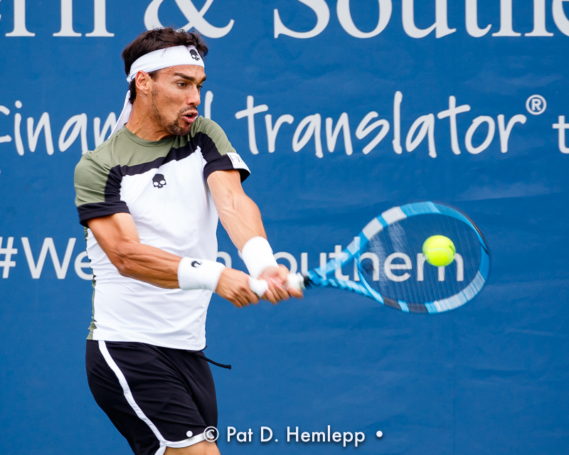 Fabio Fognini, 2017