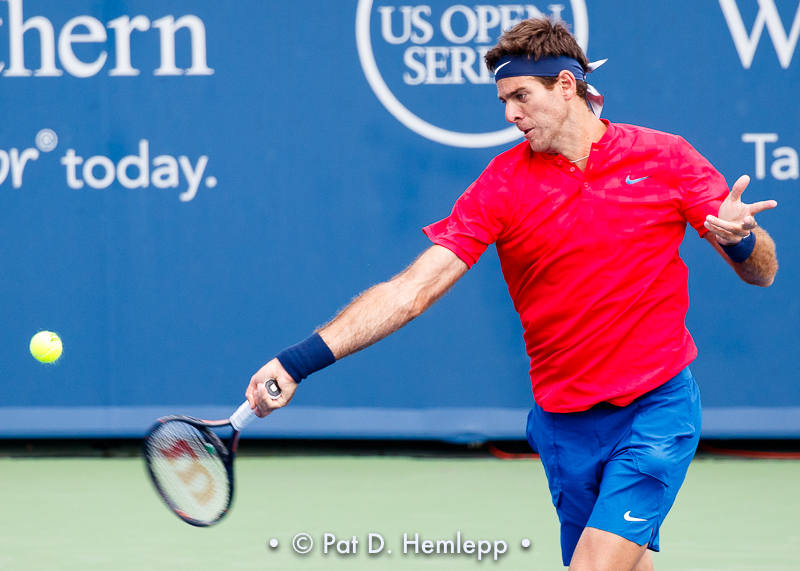 Juan Martin Del Potro, 2017