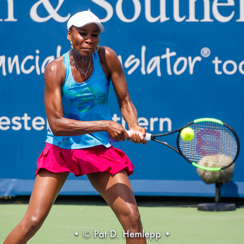 Venus Williams, 2017