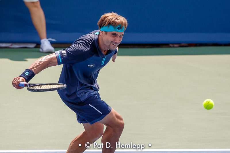 David Ferrer, 2017