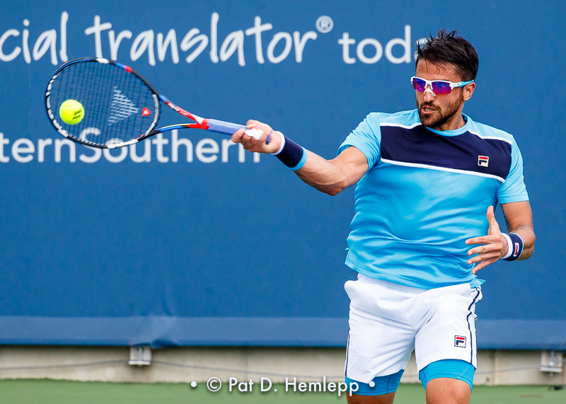 Janko Tipsarevic, 2017