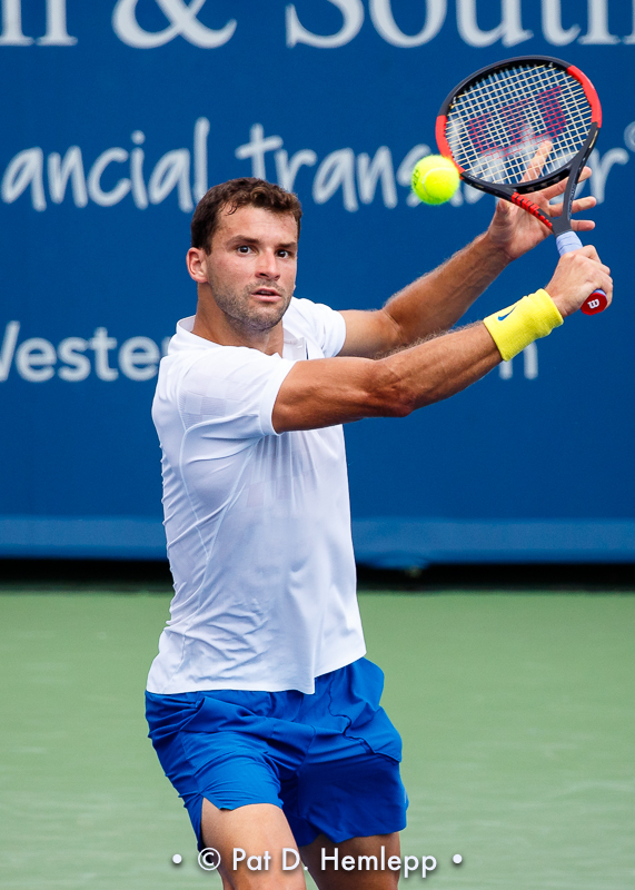 Grigor Dimitrov, 2017