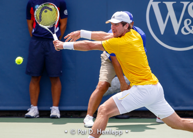 Mischa Zverev, 2017