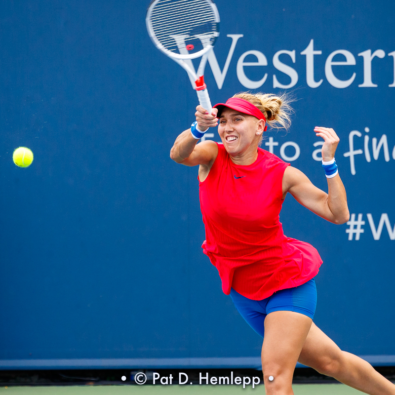 Elena Vesnina, 2017
