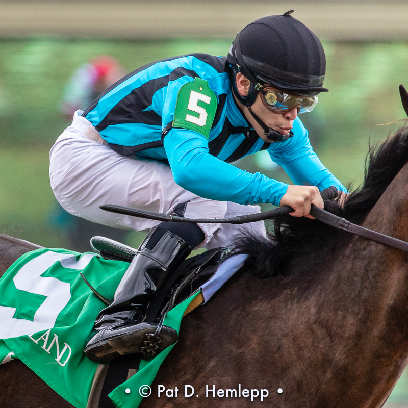 Riding a winner