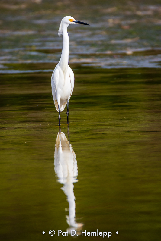 Standing tall