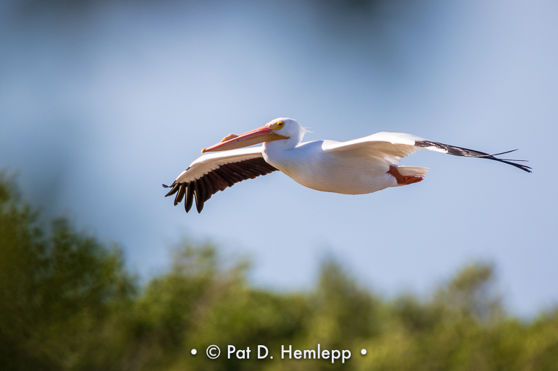 Gliding