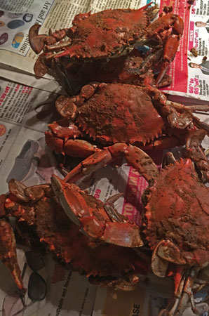 03 Chesapeake Bay blue crabs! 4503