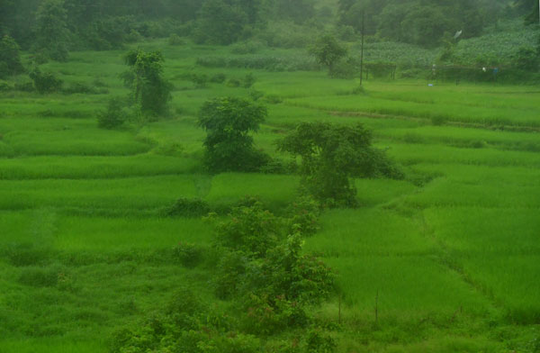 28 Mumbai to Goa on Western Railway 8262