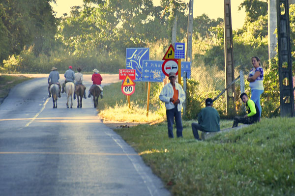 19 Morning commute, near Vinales, Cuba 7649