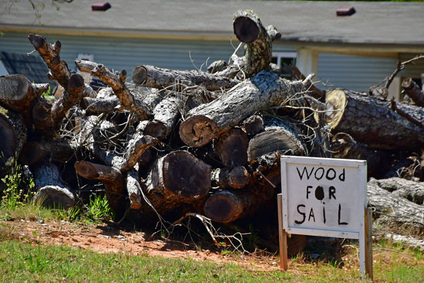 19 'WOOD FOR SAIL' 2694