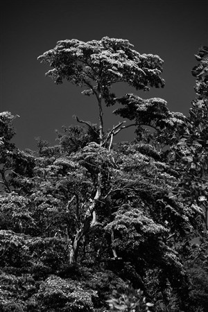 CUBA_2664bw
