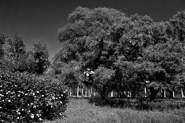 CUBA_2671bw