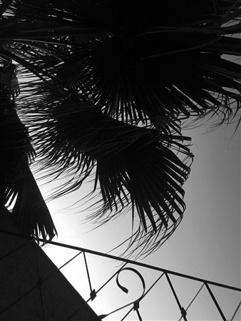 CUBA_i6093i