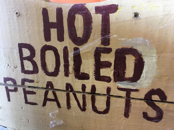 30 Hot Boiled Peanuts 7842