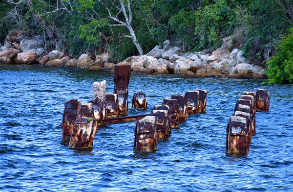 CUBA_3383 Old ferry pilings