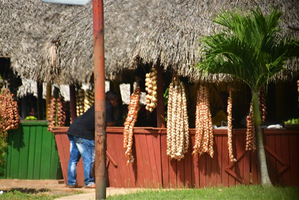 CUBA_3731 Onions and garlic (Cebollas y ajo) for sale