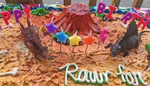 30 Why are there dinosaurs and a volcano on my birthday cake, darling daughter?! 8005