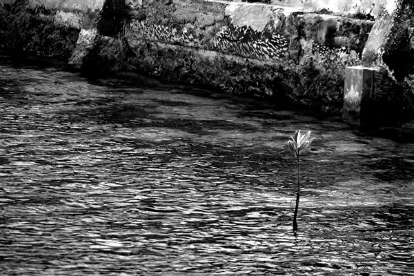 CUBA_5214bw