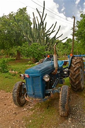 CUBA_5405 100 yr old plant, 50 yr old tractor