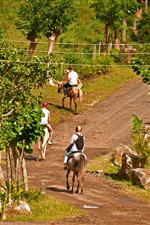 CUBA_5438 Horse riding at Vista Hermosa organic farm