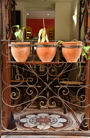 CUBA_5653 Three flower pots and iron work and tile