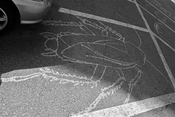 CUBA_5811 Student art in parking lot