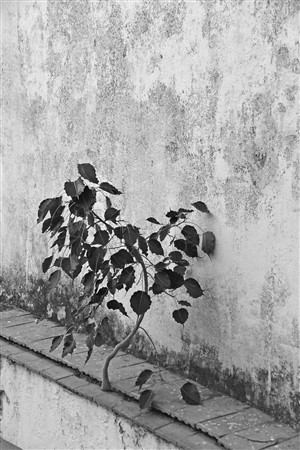 CUBA_6325bw2