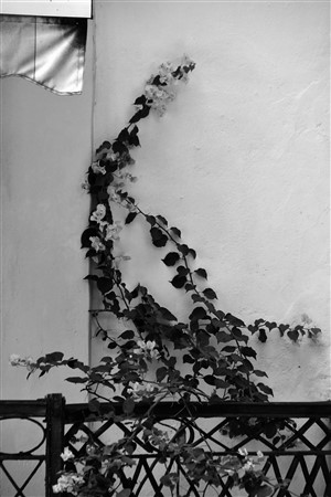 CUBA_6396bw