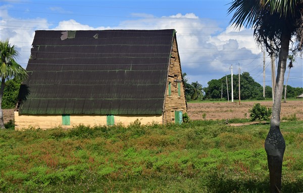CUBA_6685 On the road to Vinales - Barn